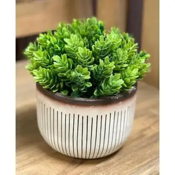 Potted Greenery in Planter