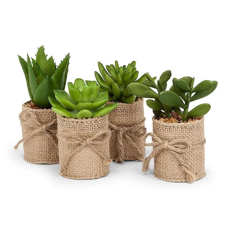 Succulent Burlap Wrap 4"