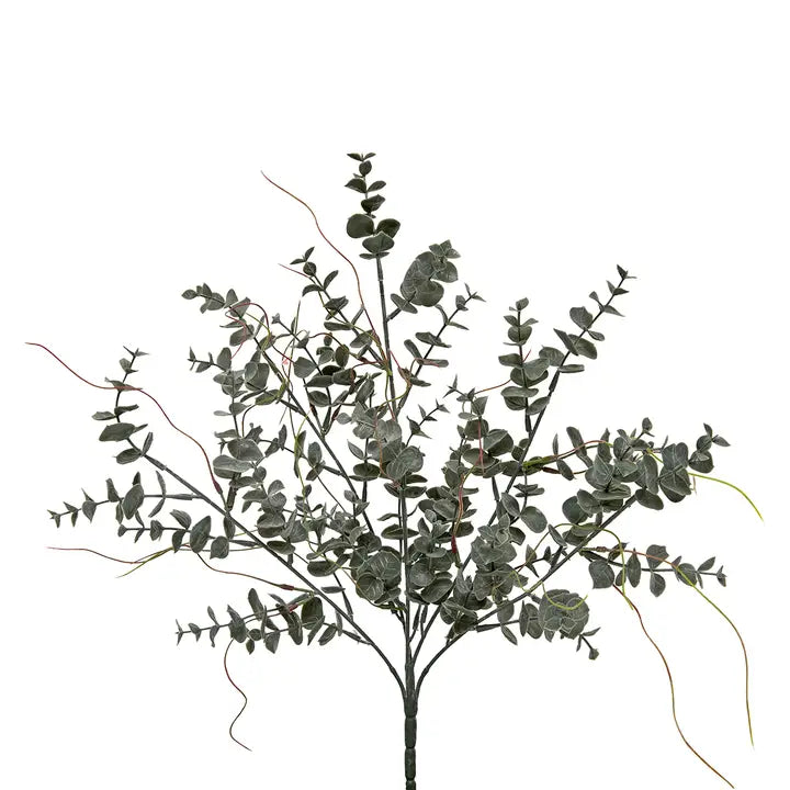 Dark Gray/Green Eucalyptus and Twig Bush