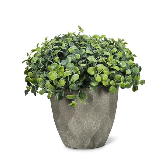 Teardrop Leaf Plant Pot 6"