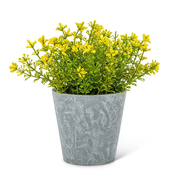 Yellow Flowering Plant Pot 6"