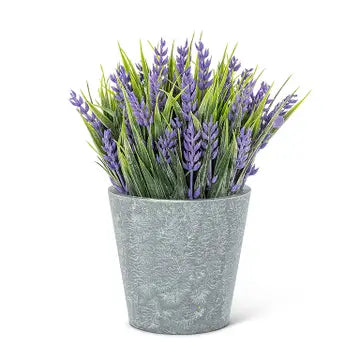 Purple Lavender Plant Pot 8"