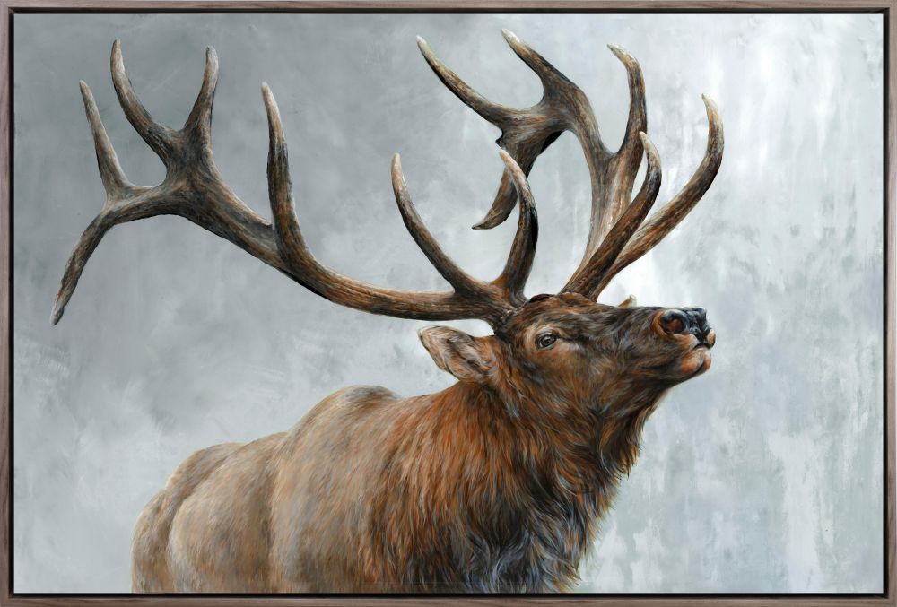 Rising Bull Elk 30x45