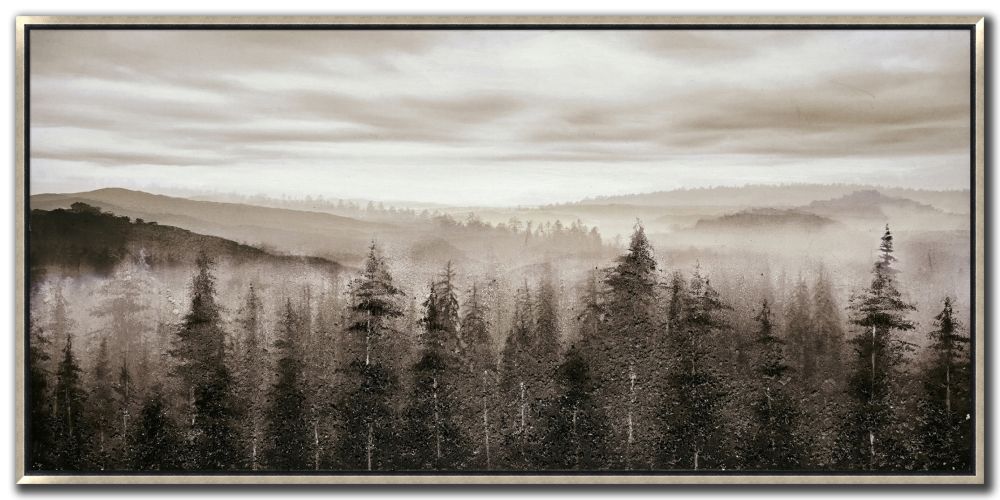 Foggy Mountains Pines 28X56