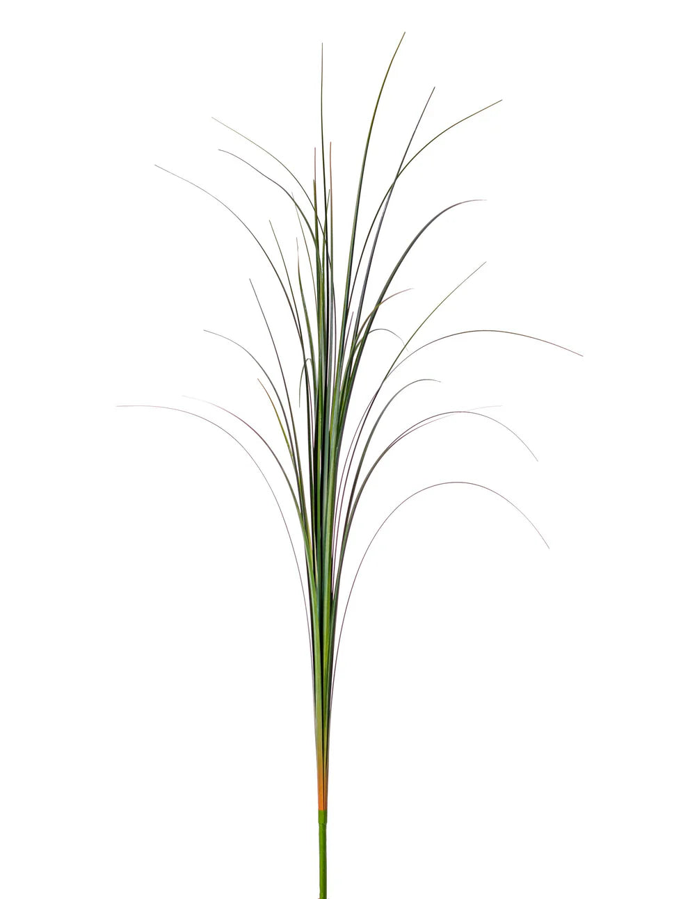 42" Grass Stem