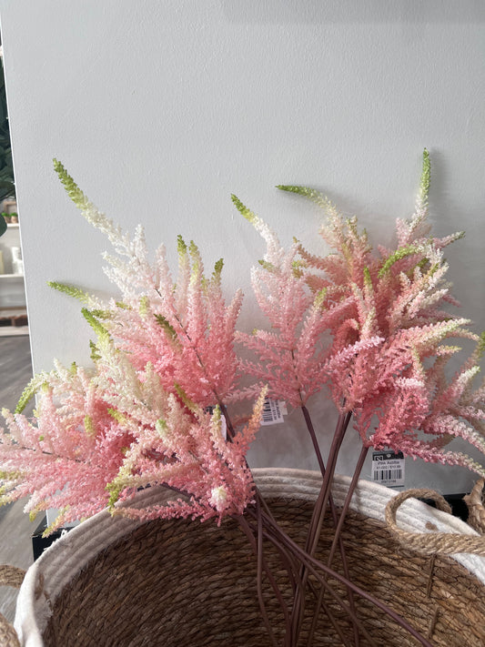 Pink Astilbe