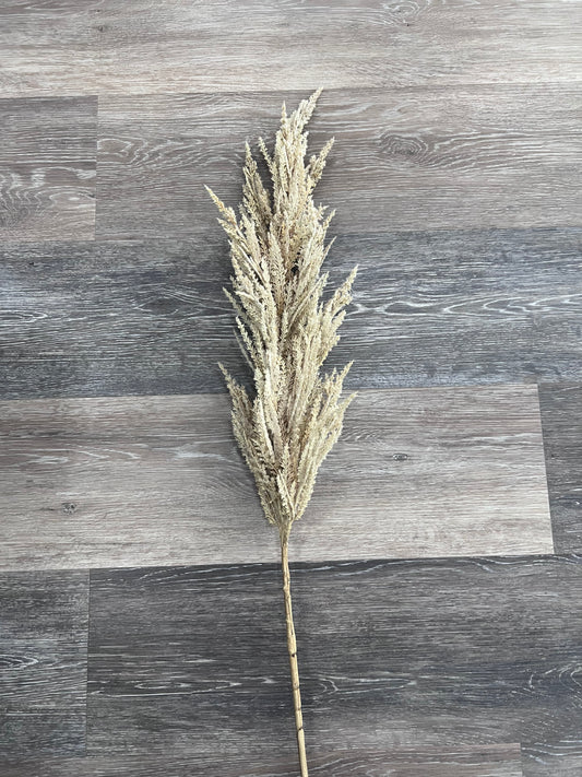 Large Wheat Stem