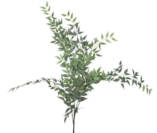 47" Italian Ruscus