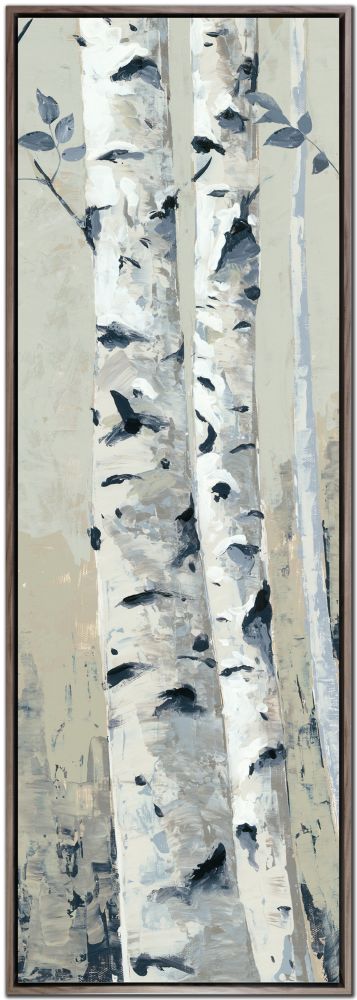 Aspen Birch 16X48