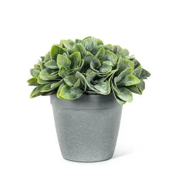 Green Spade Leaf Plant Pot 6"