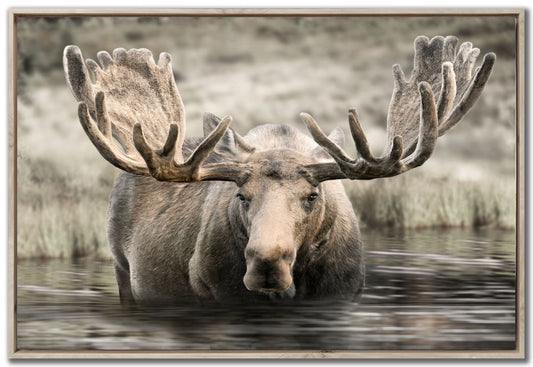 Moose Hot Springs